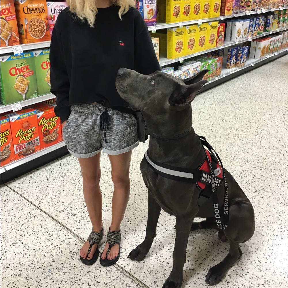 Meet your Posher, Rene